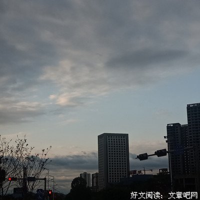 《为你而来》的影评大全