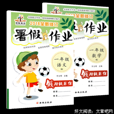 《暑假作业》经典观后感1000字