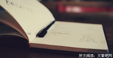 《老狗》影评摘抄