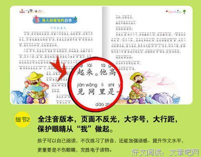 15岁的嫌疑人经典读后感有感
