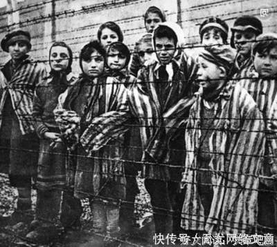 犹太妈妈不买玩具读后感摘抄