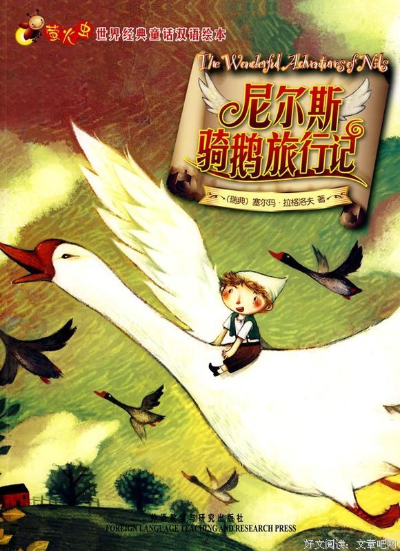 《少女杜拉》经典读后感有感