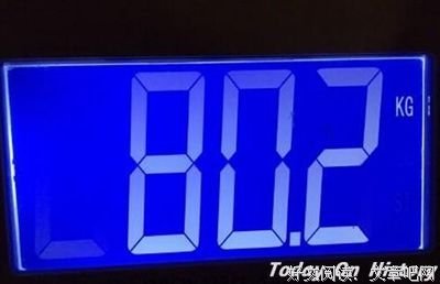 《历史的六个面孔》的读后感大全