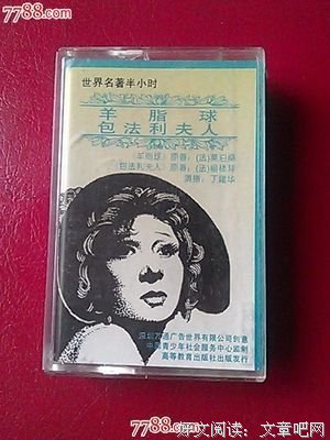 包法利夫人读后感锦集