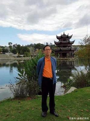 《斑斓志》读后感锦集