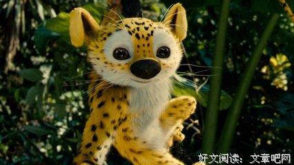 《追踪长尾豹马修》观后感精选