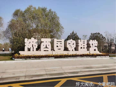 《周末时光》经典影评1000字