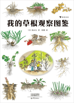 我的草根观察图鉴读后感摘抄
