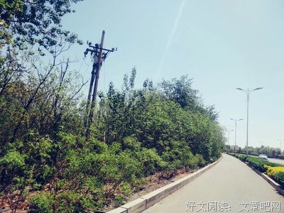 《阿年》经典观后感1000字