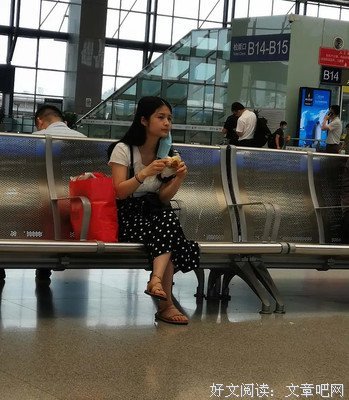 文明、现代化、价值投资与中国的读后感大全
