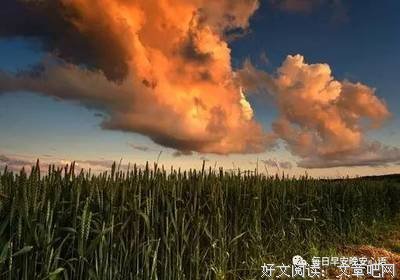 关于收藏20140424——宁缺毋滥的宣告的优美句子