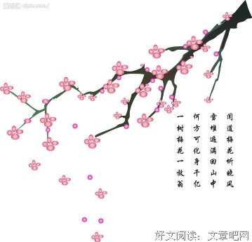 关于白落梅。傲骨寒梅香入脾的句子