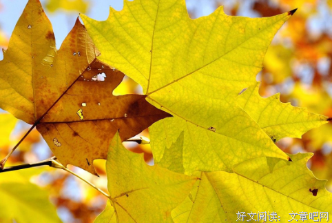 关于我们相识在暖的优美句子