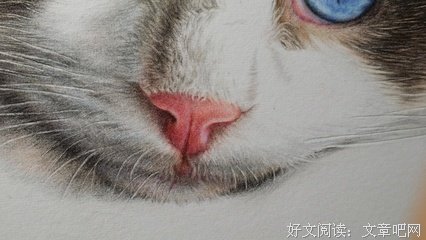 孤独患者自我小你扯的句子
