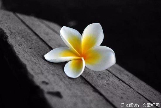 你的脾气里，藏着你的福气 