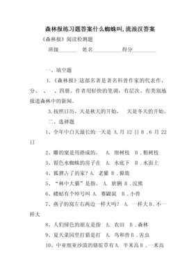 《达摩流浪者》的读后感大全