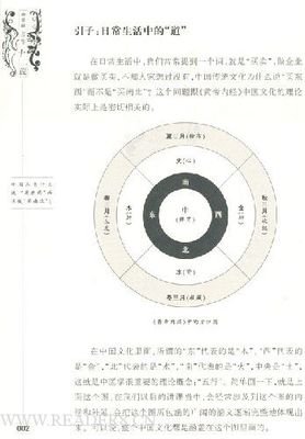 妈妈的舌头第二版经典读后感有感