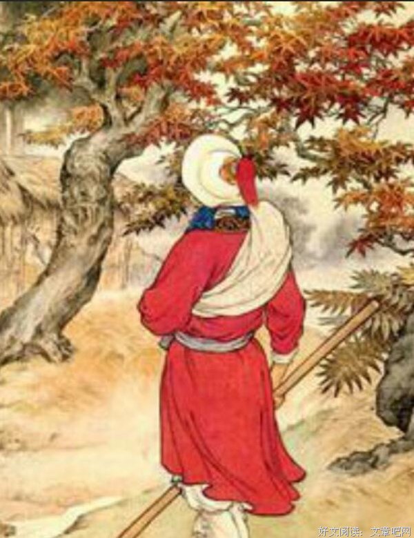 《小鸟的葬礼》读后感摘抄