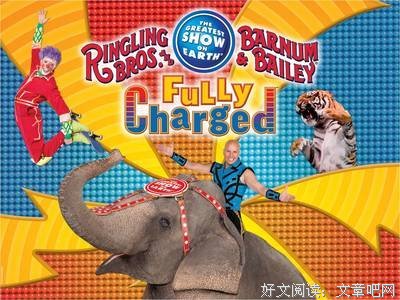 《3D镜面绘本：镜子里的马戏团》读后感1000字