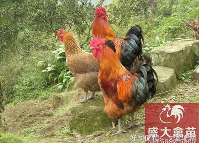 关于可想而知的名言