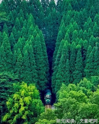《魅力的中国铁道风景》经典观后感有感
