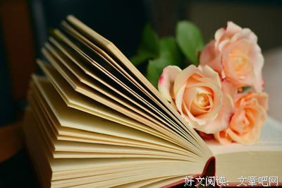 《这样就很幸福了》读后感锦集