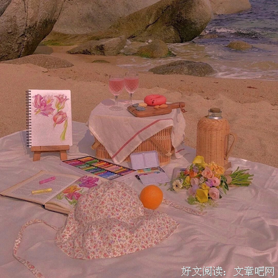 小镇生活指南读后感摘抄