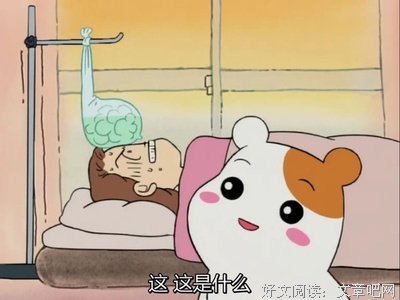 《仓鼠管家》的影评大全