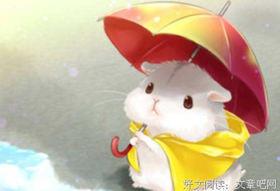 与仓鼠一起穿越时空读后感精选