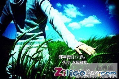 《喜欢这感觉》的句子