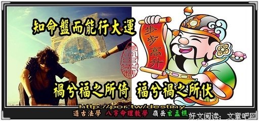 集·网络·语录