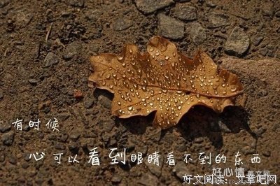关于触动心扉的优美句子