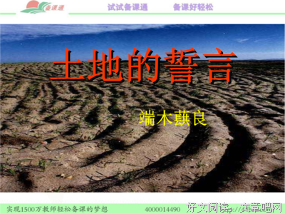 井经典的句子