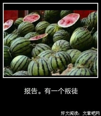 最全的《孤城》经典名句