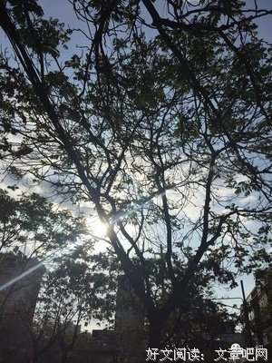《苏世民：我的经验与教训》的读后感大全