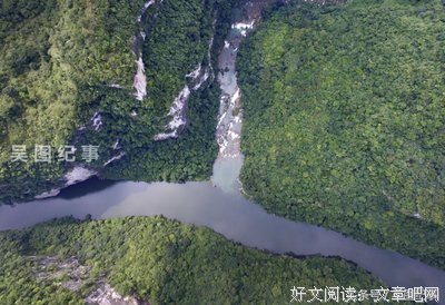 《小猫跳出来3D》经典观后感1000字