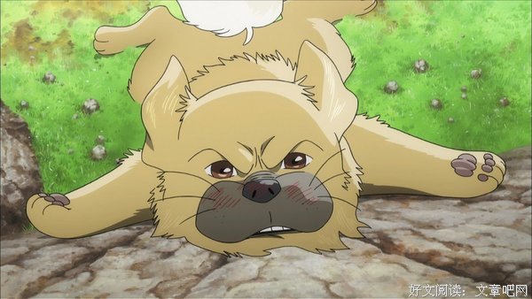 《藏獒多吉》好看吗？经典观后感锦集