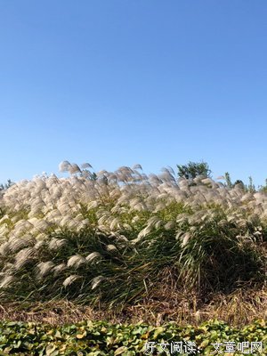 亦久亦旧经典名句