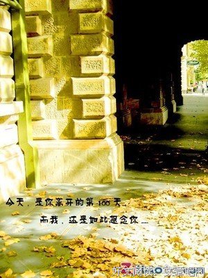 唯美类的句子