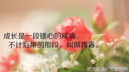 心情类优美的句子