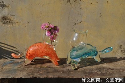 玻璃猫❤的优美句子