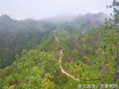 美文共赏的句子