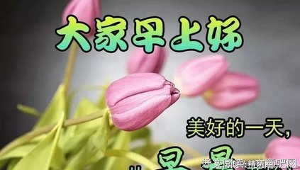 下家年下雪、句子大全