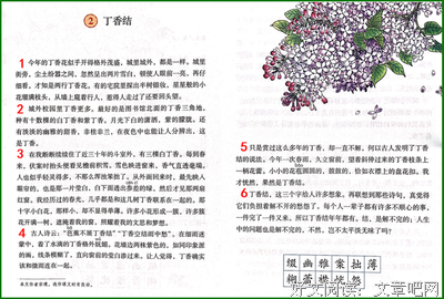 《。优雅到死》的句子