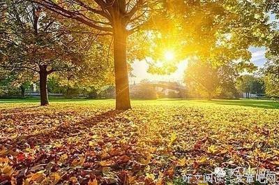 秦时明第陈的生的优美句子
