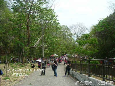 桐言桐语