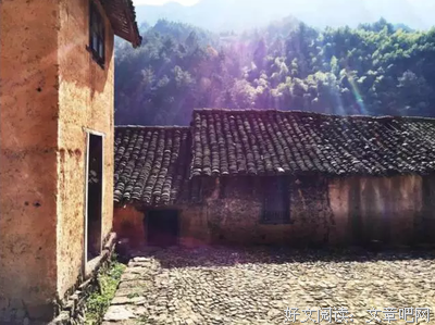 榆钱落尽槿花稀经典名句