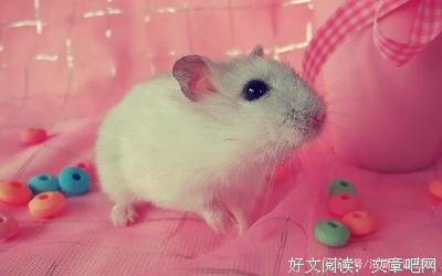一念执个在、一念缘经典名句