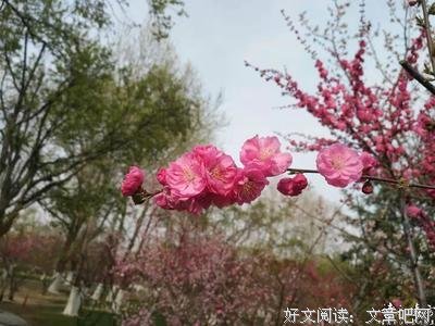 到内成到内些明媚的忧伤丶好词好句