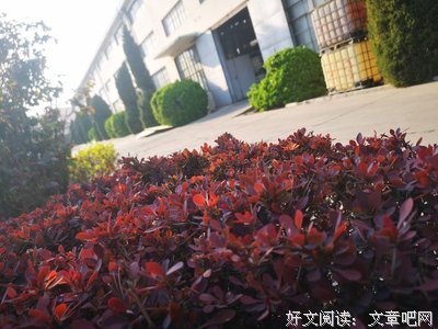 彼岸繁花盛开的句子